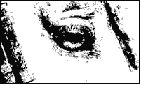 A woman mountain biking; Actual size=180 pixels wide